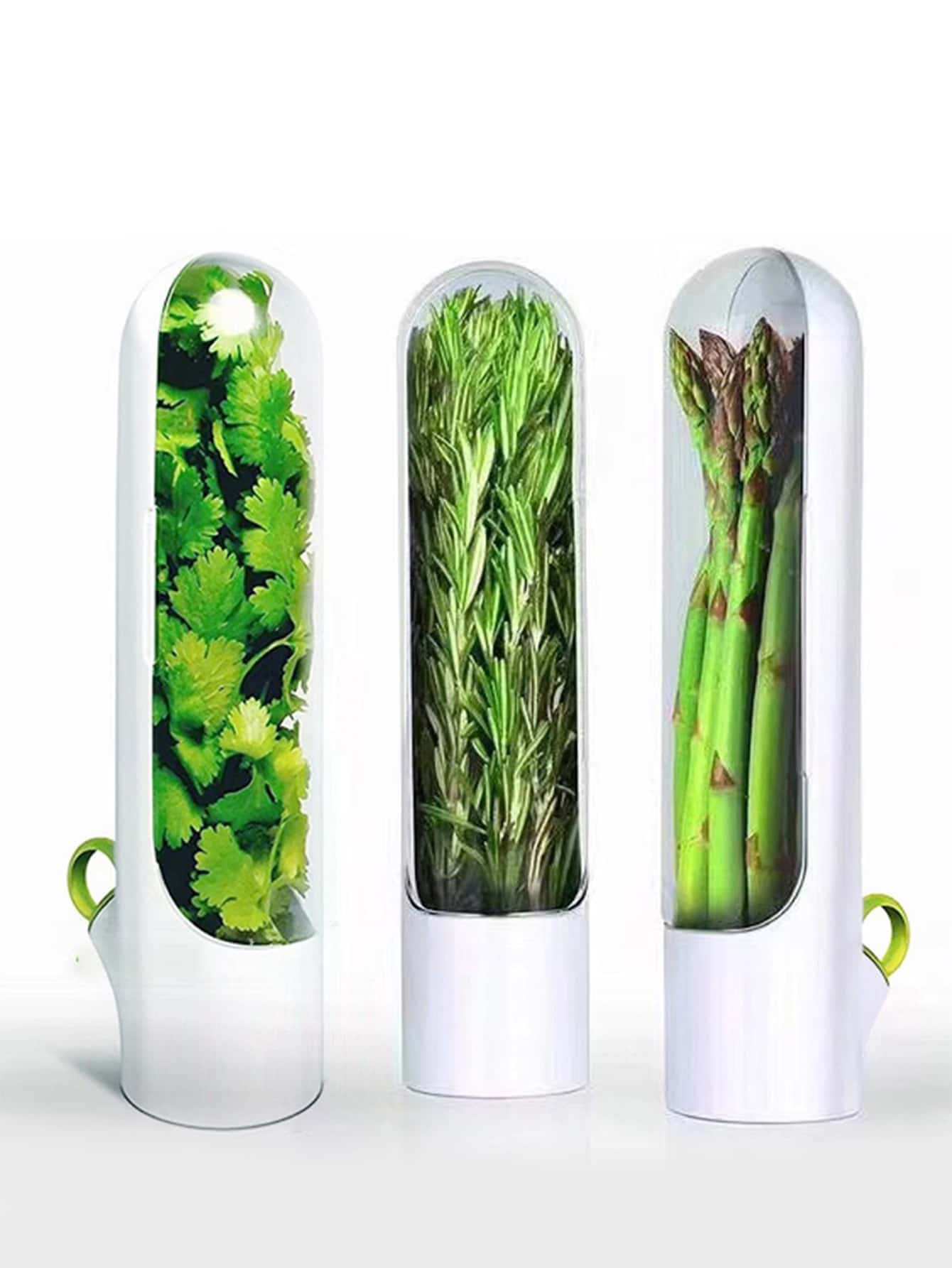 Clear Airtight Food Storage Box – Herb & Vegetable Container | MIRA