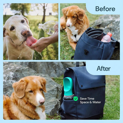 Portable Dog Water Bottle With Food Container - 3-In-1 Travel Pet Water Dispenser & Collapsible Bowl, Essential For Walking, Hiking With Small Dogs And Cats (Yorkie, Chihuahua, Puppy)