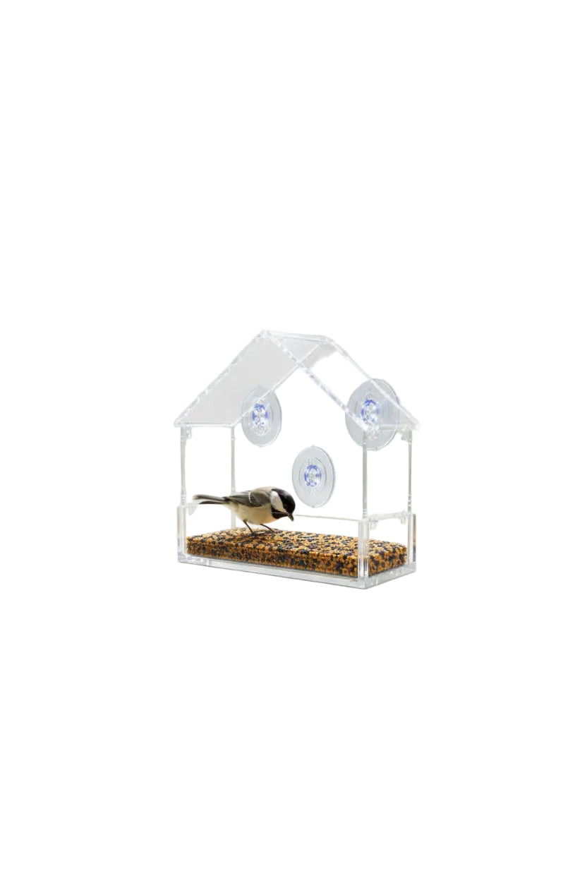 Clear Acrylic Window Bird Feeder | Suction Cup | MIRA
