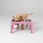Adjustable Elevated Dog Bowl Stand | 5-Height Settings & Stainless Steel Bowls