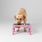Adjustable Elevated Dog Bowl Stand | 5-Height Settings & Stainless Steel Bowls