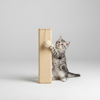 Cat scratching post with hanging toy ball kitten playing