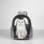 White cat sitting inside pet bubble backpack