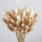Plume close-up