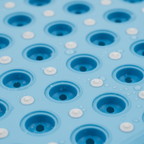 Suction cup close-up