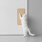 Cat scratching post beside door frame white cat stretching